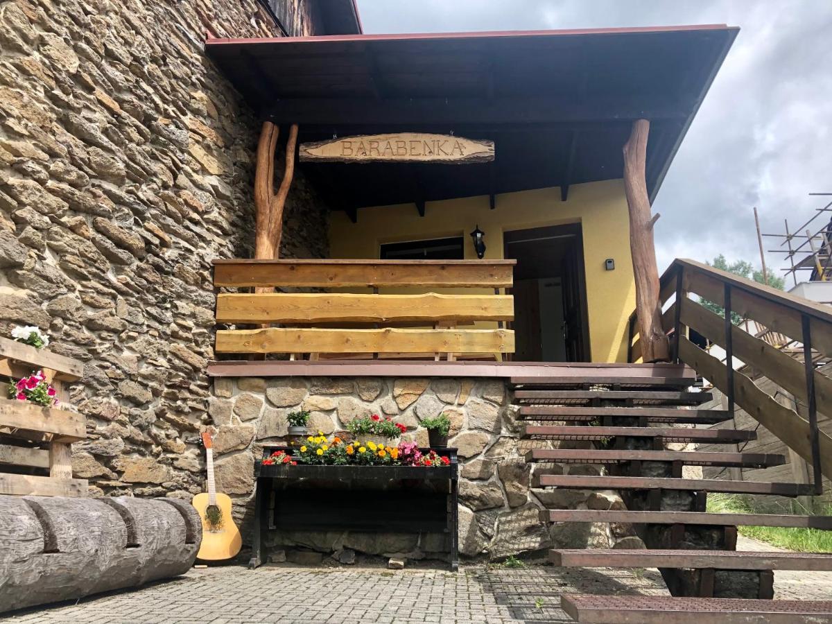 Apartman S Vyhledem Na Jezerni Stenu Zelezna Ruda Exterior photo