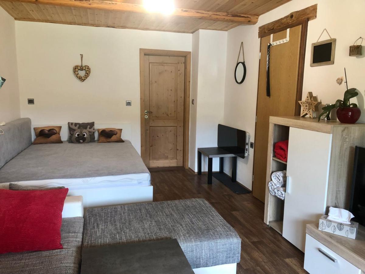 Apartman S Vyhledem Na Jezerni Stenu Zelezna Ruda Exterior photo