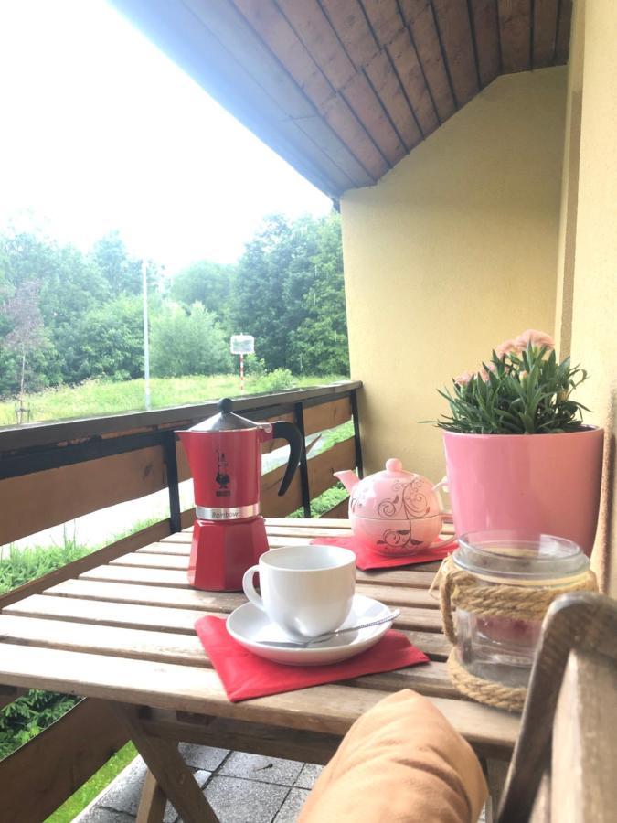 Apartman S Vyhledem Na Jezerni Stenu Zelezna Ruda Exterior photo